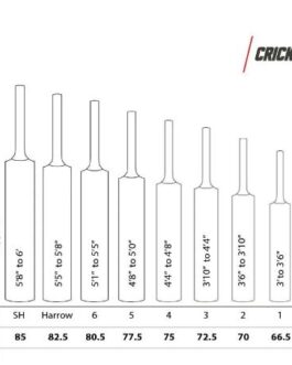 SS Gladiator KW Cricket Bat – Size 4
