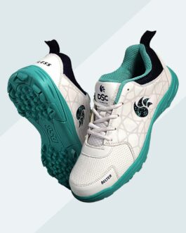 DSC Belter Stud Cricket Shoe