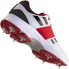 Shoe