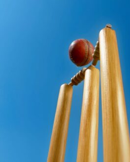 Cricket Accessories