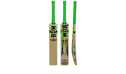 BDM Ambassador EW