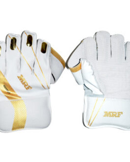 MRF Warrior WicketKeeping Glove