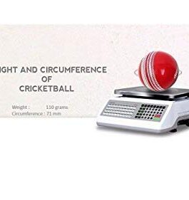 Jaspo PVC Indoor Cricket Ball (1 Piece)