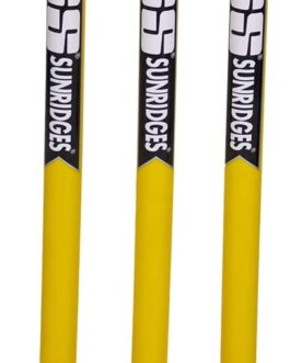 SS Plastic Stumps