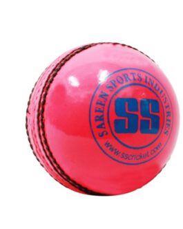 SS Yorker Leather Cricket Ball
