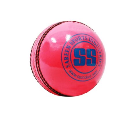 SS Yorker Leather Cricket Ball