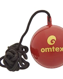 Hanging Practice Ball