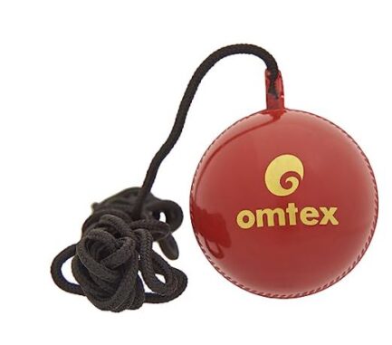 Hanging Practice Ball