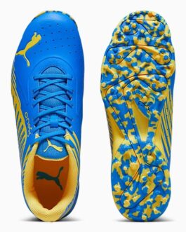Puma X One8 22 FH Shoe