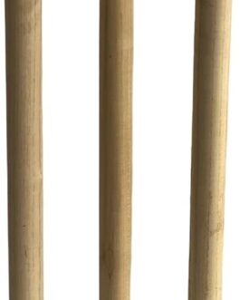Wooden stumps with cast base and spring