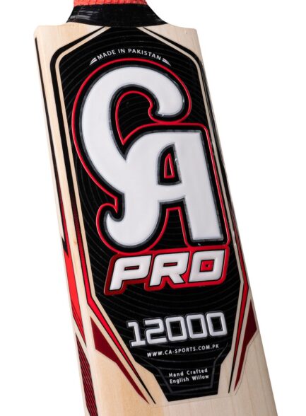 CA Pro 12000 EW - Image 4