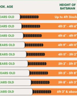 MRF Champ Cricket Kit – Size 5