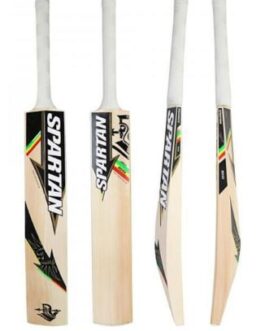 Spartan CG Fighter EW Bat