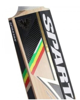Spartan CG Fighter EW Bat
