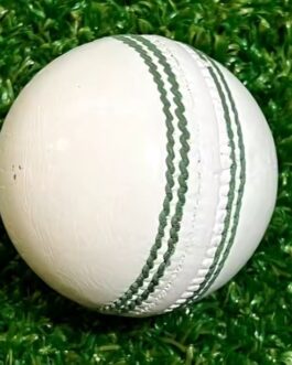 Unbranded practice leather balls