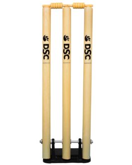 DSC Wooden Stumps with base