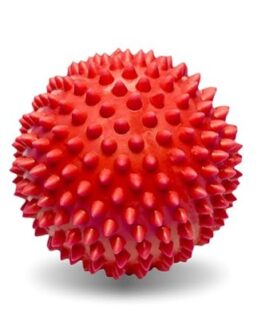 Jaspo revive practice ball